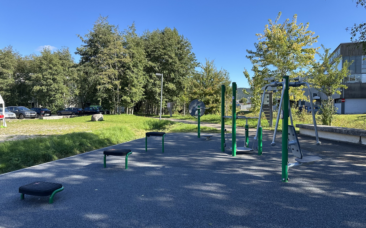 Bild Calisthenics-Anlage