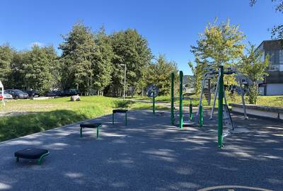 Bild Calisthenics-Anlage