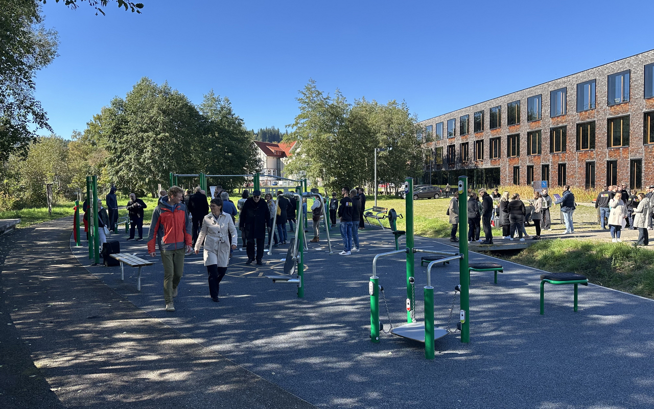 Bild Calisthenics-Anlage